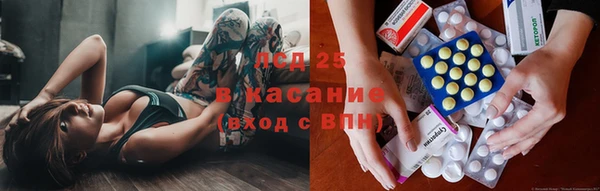 мяу мяу кристалл Богданович