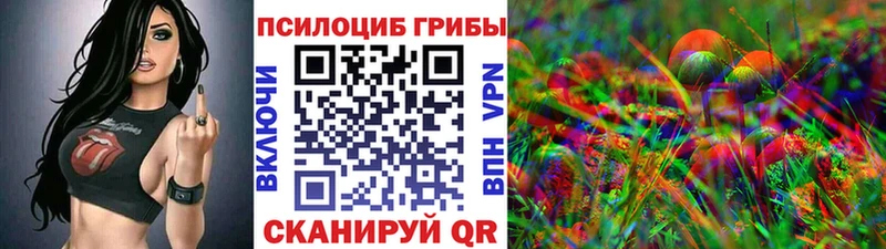 Галлюциногенные грибы Cubensis  блэк спрут tor  Мышкин 